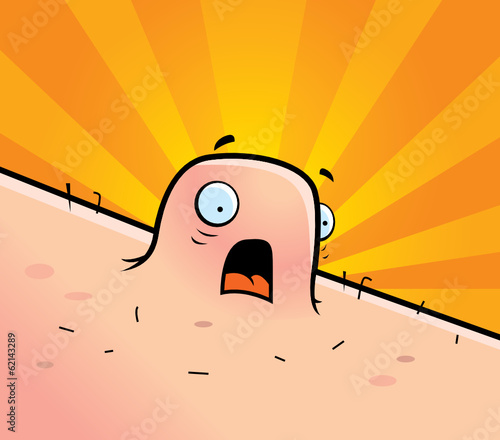 Worry Wart