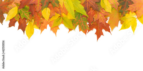Colorful Autumn leaves arranged with room for copy space.