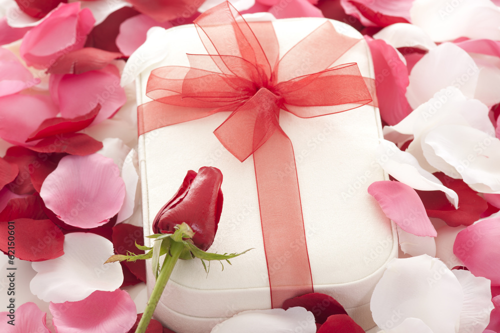 Valentines Day gift Valentines Day gift