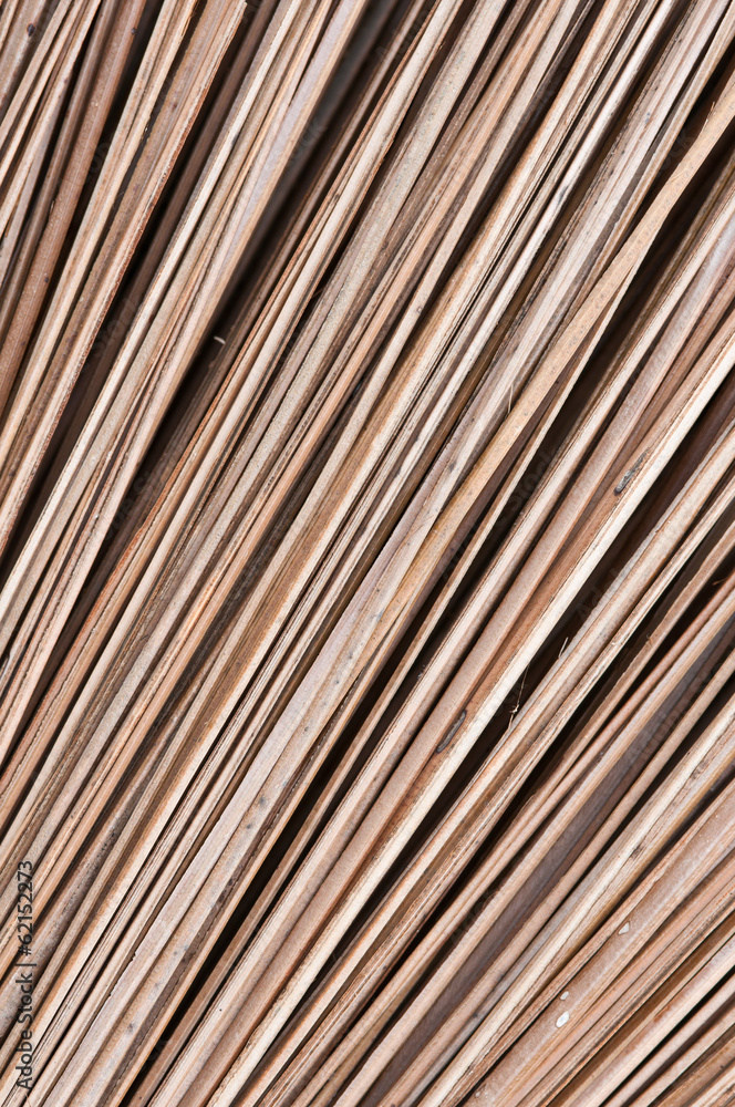 abstract background of dry coconut leaf abstract background of dry coconut leaf