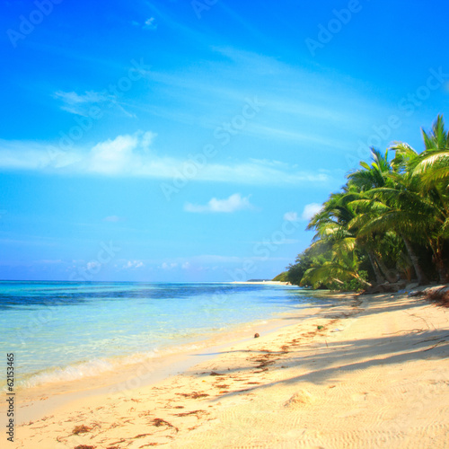 beach and tropical sea © fotomaximum