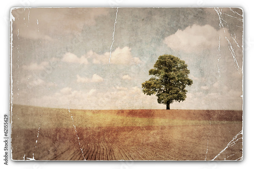 Vintage Photograph of Tree