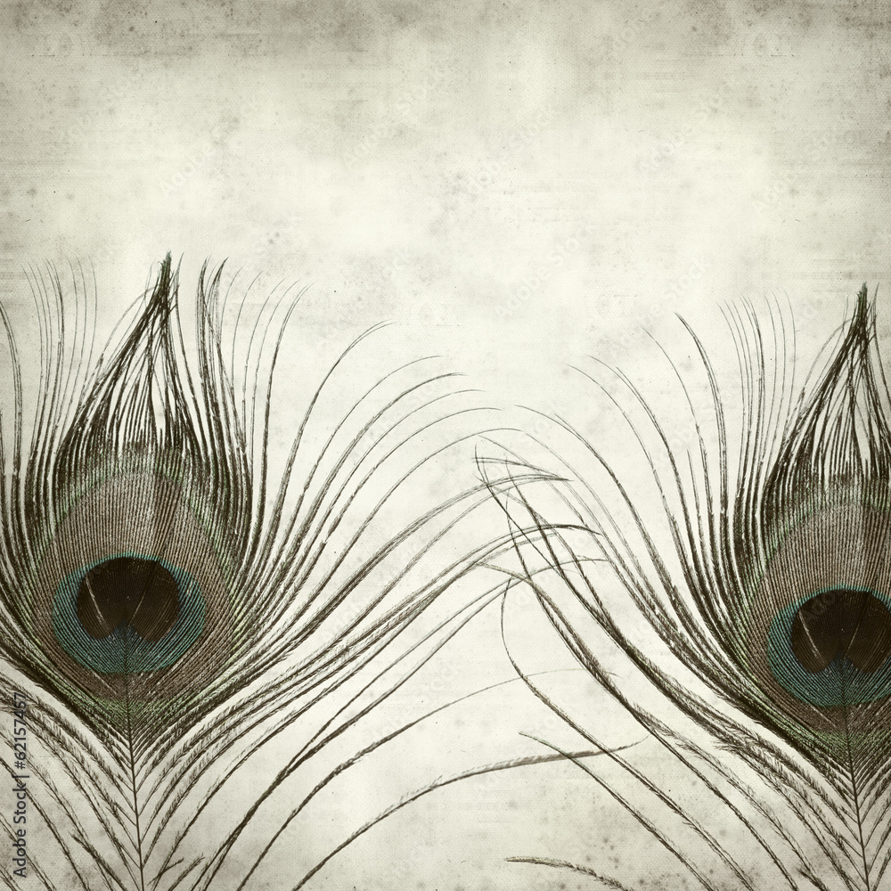 Obraz premium textured old paper background