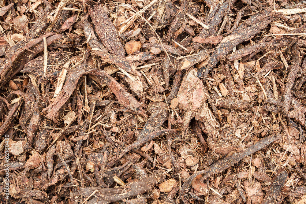 garden bark mulch texture garden bark mulch texture