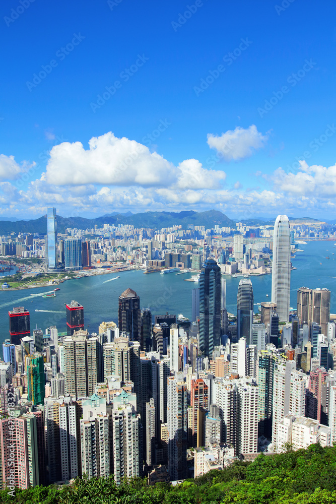 custom made wallpaper toronto digitalHong Kong