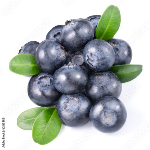 blueberries isolated