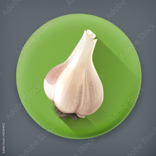 Garlic, long shadow vector icon