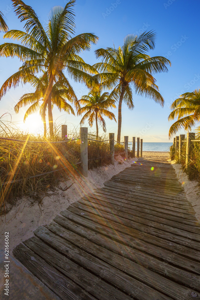 Fototapeta premium Passage to the beach at sunrise