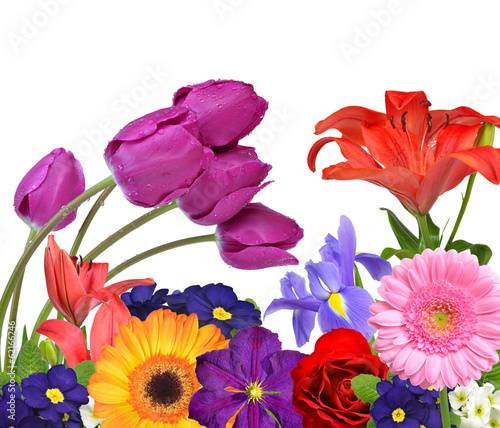 Fototapeta Naklejka Na Ścianę i Meble -  Spring flowers isolated on white background