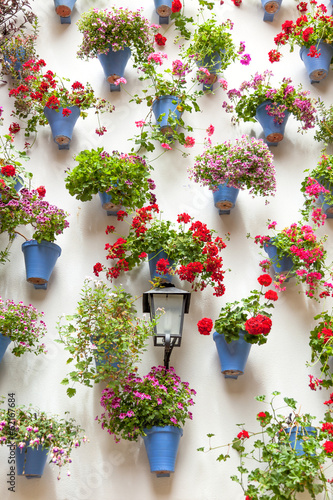 Fototapeta Naklejka Na Ścianę i Meble -  Blue Flowerpots and Red Flowers on a white wall with vintage lan