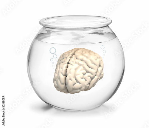 fishbowl with brain inside