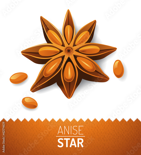 Anise star