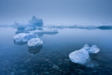 Foggy Icebergs