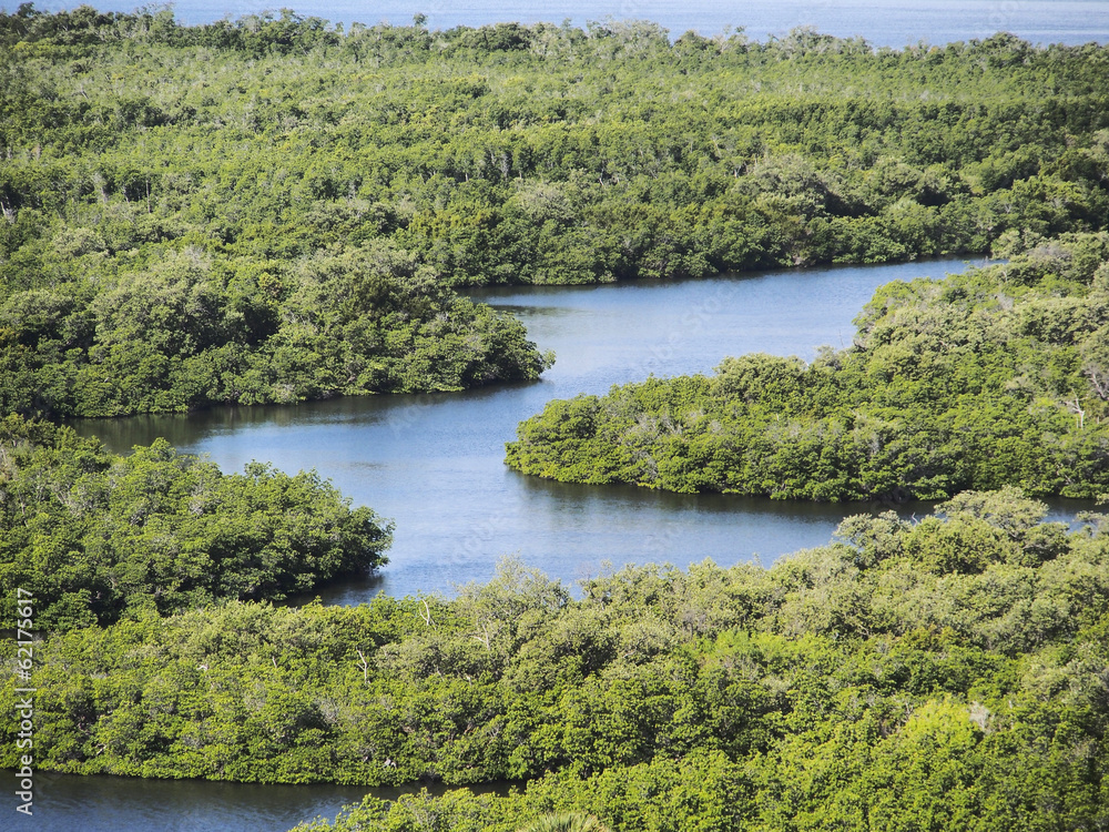 Everglades Everglades