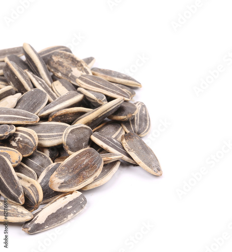 Close up of black sunflower seeds.