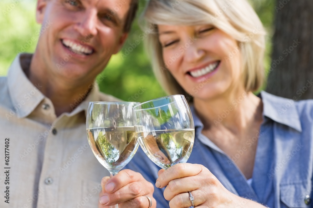 Smiling couple toasting wine glasses Smiling couple toasting wine glasses