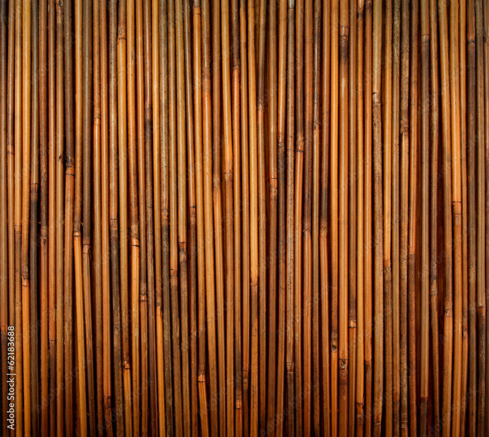 bamboo texture bamboo texture