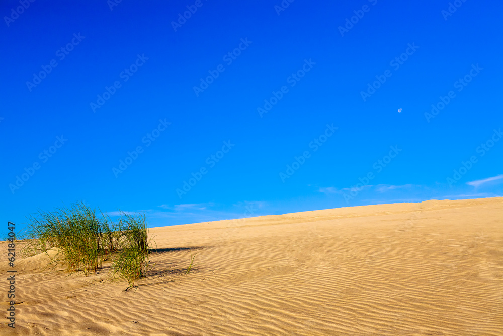 Fototapeta premium Sandy dune with plants and sky.