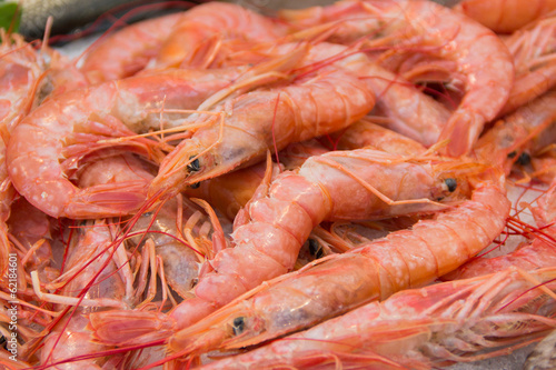 Fresh red shrimps