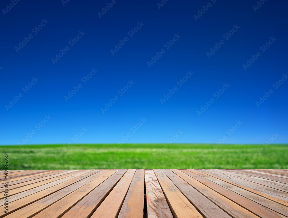 field field