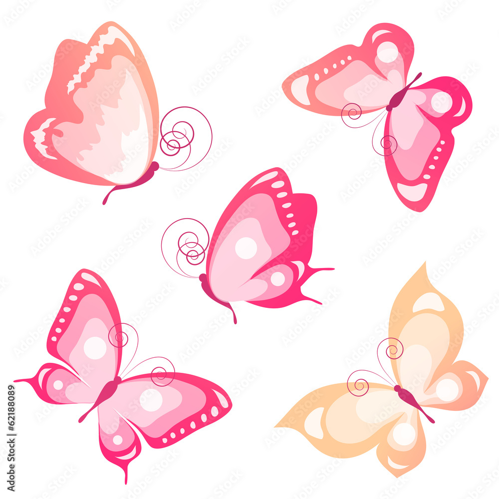 butterflies design butterflies design