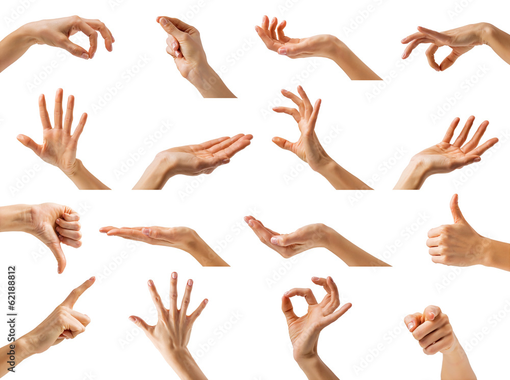 Collection of women hands showing different gestures - obrazy, fototapety, plakaty 