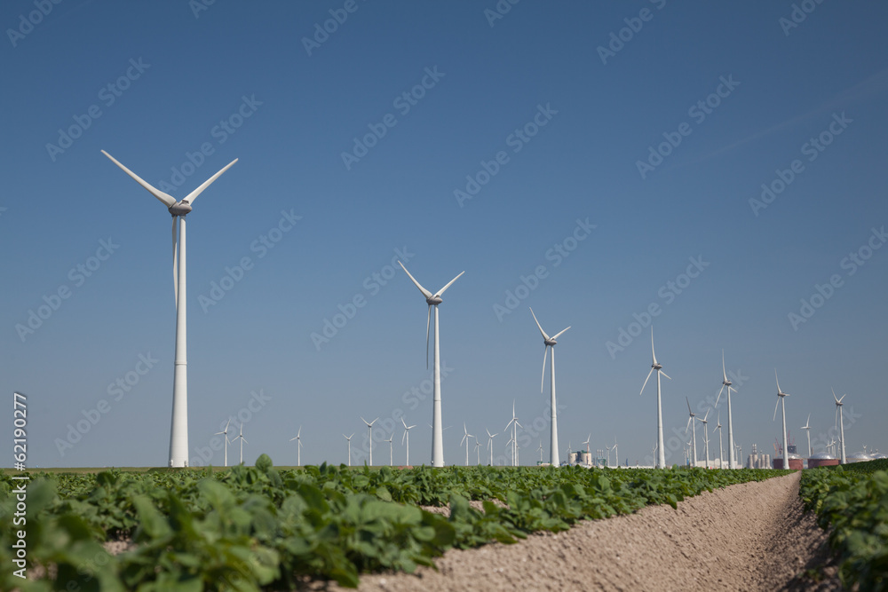 Windfarm with fresh crops and a clear blue sky Windfarm with fresh crops and a clear blue sky