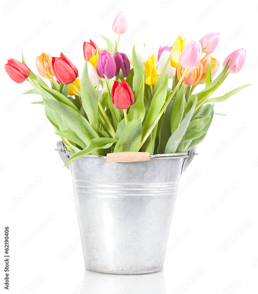 Colorful tulips in glass vase on white background Colorful tulips in glass vase on white background