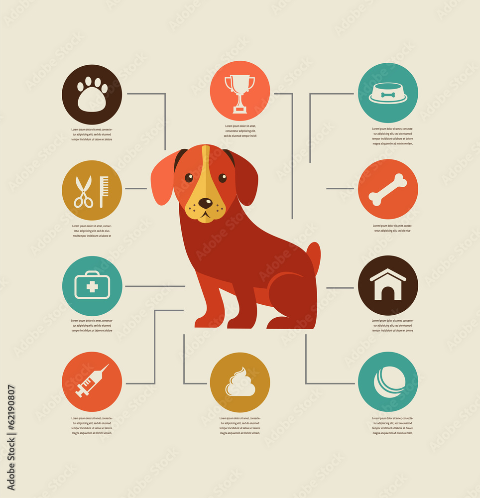 Dogs Infographic And Icon Set Stock Vector Adobe Stock