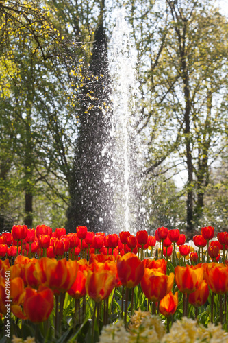 Row of multiple colored flowers with a waterfountain