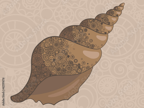 Seashell in patterns