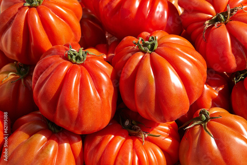 Bilde på lerret Bunch of red tomato RAF