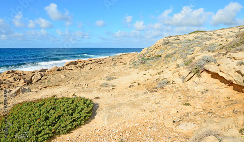 yellow and green coast