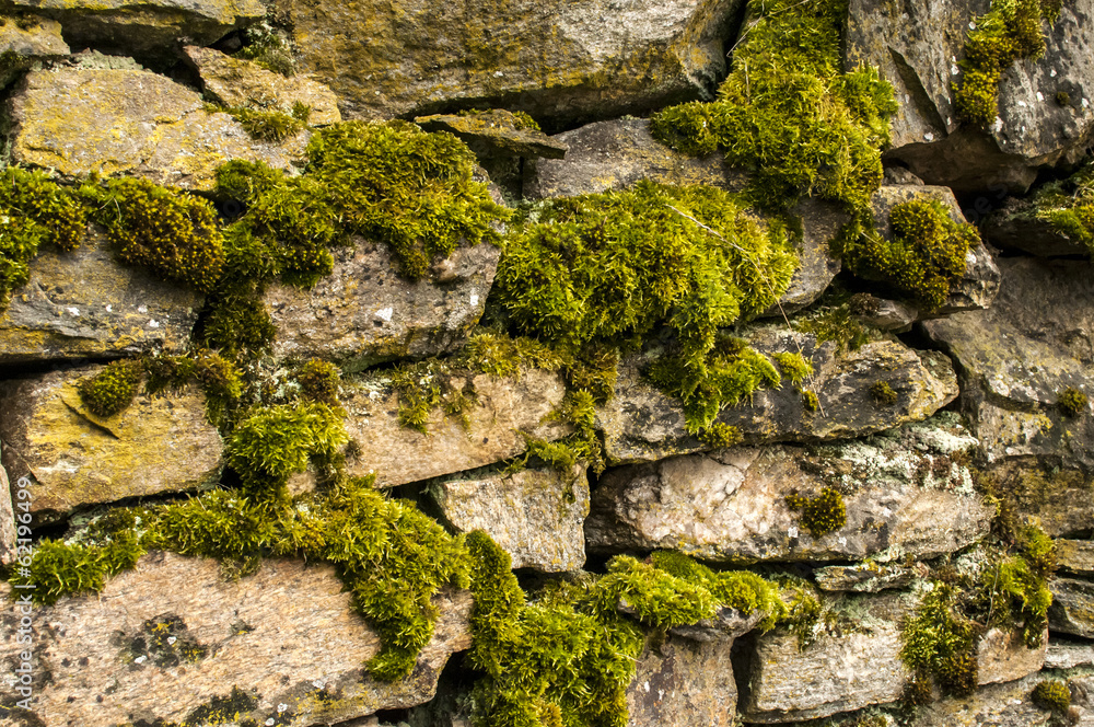 Dry masonry stonewall with moss closeup as background