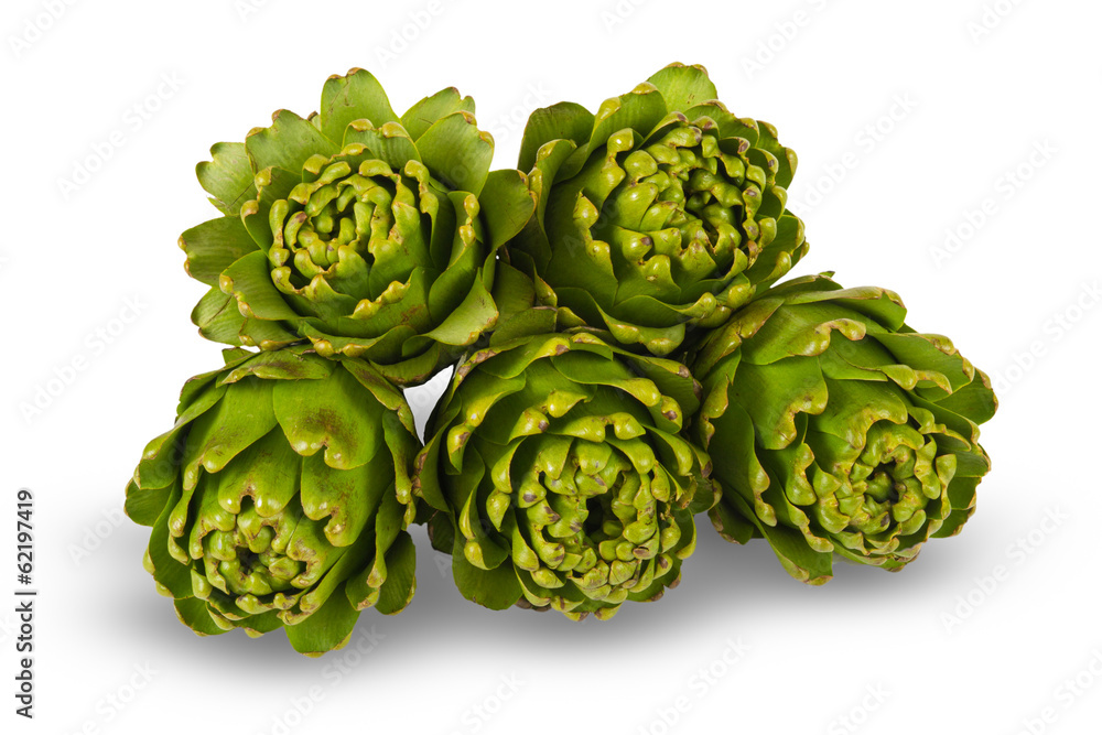 Obraz premium Karczochy na na białym tle