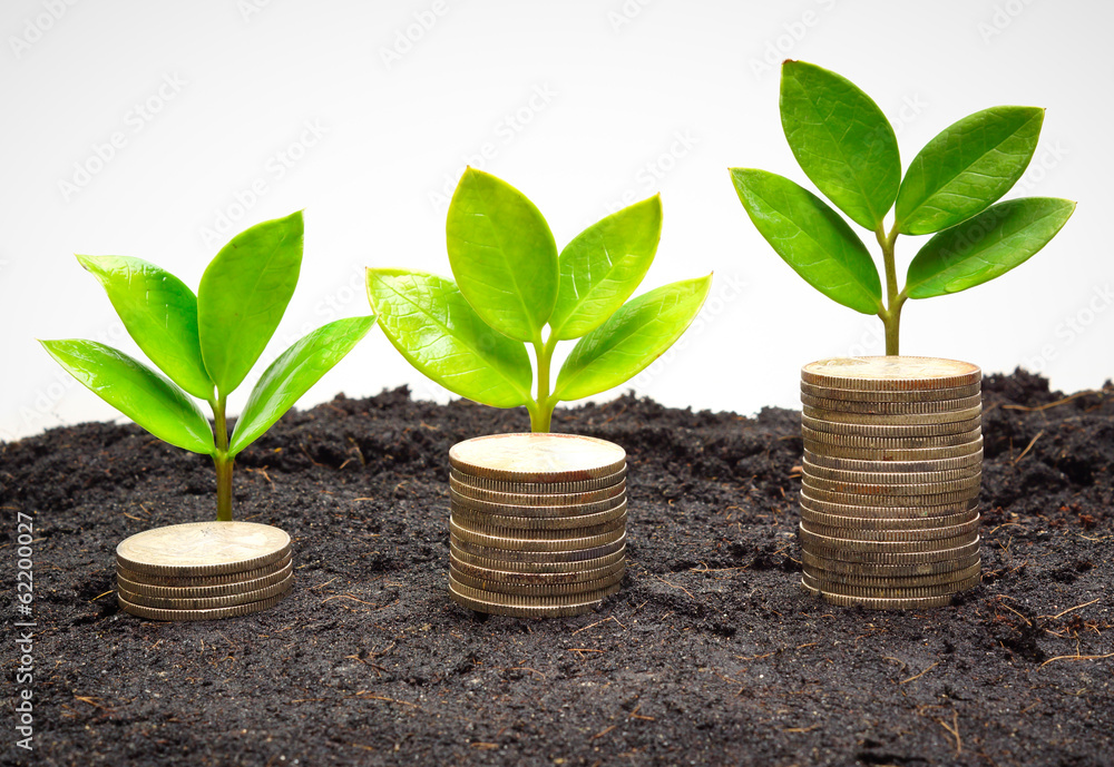 tree piles of coins with small trees / csr tree piles of coins with small trees / csr