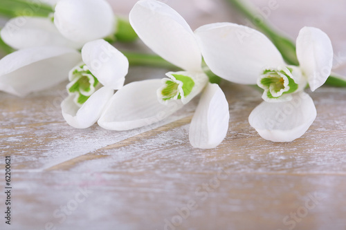 Beautiful snowdrops on wooden background