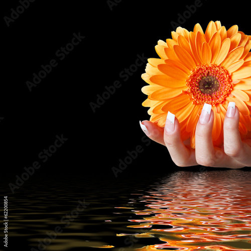 Schöne Hand mit Blume