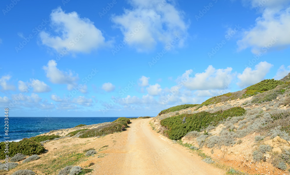 dirt road by the sea