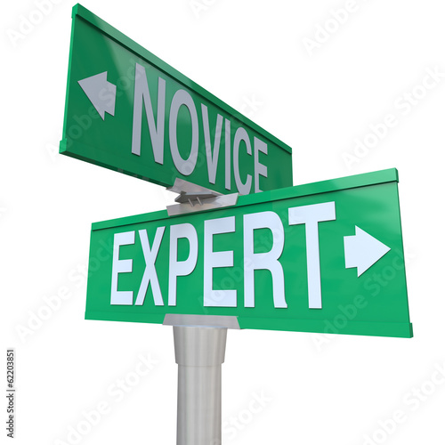 Expert Vs Novice Two Way Road Sign Skills Experience Expertise
