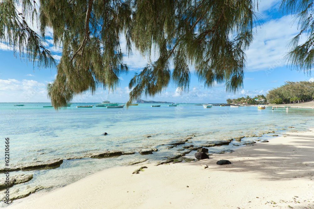 plage de coin de mire, île Maurice Stock Photo | Adobe Stock