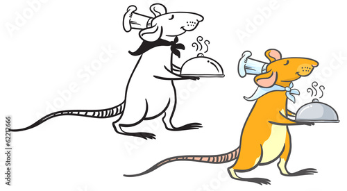 rat