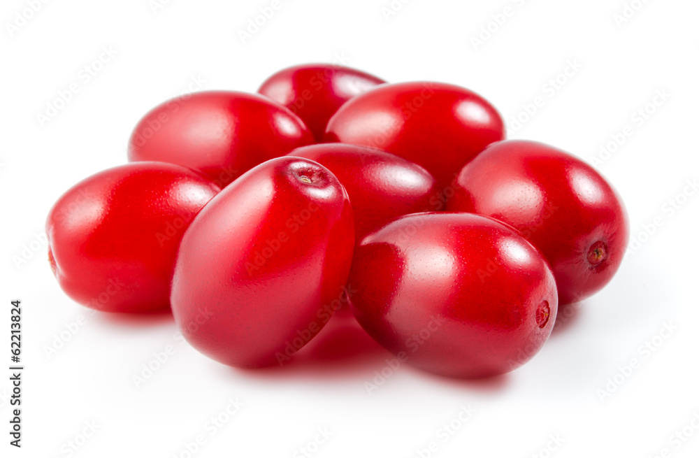 Dogwood. Cornel fruit isolated on white Dogwood. Cornel fruit isolated on white