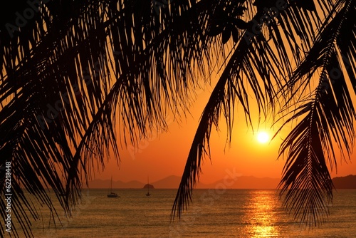 Sunset with palm leaves.
