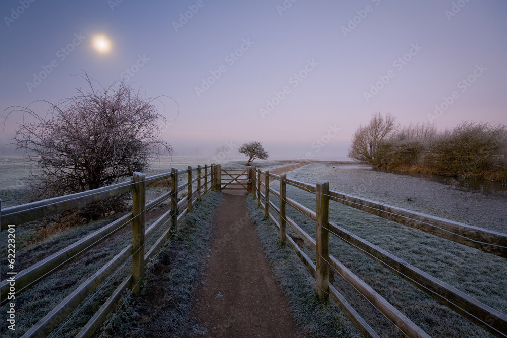 Fototapeta premium Port Meadow, a floodplain in Oxford.