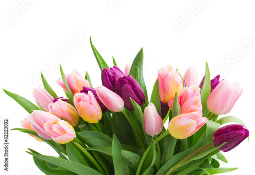 bunch of pink and violet tulips