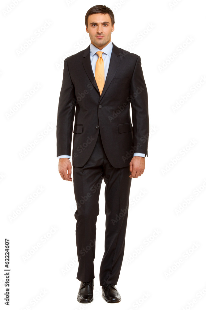 successful businessman. Man in suit and tie. Isolated on white successful businessman. Man in suit and tie. Isolated on white