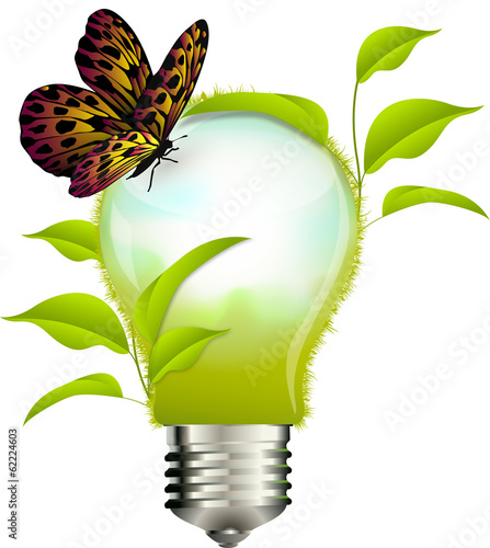 Eco concept: lampadina con foglie