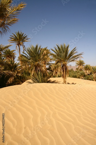 premières dunes du Sahara