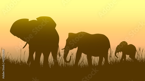 Horizontal illustration of wild animals in sunset savanna. © vertyr